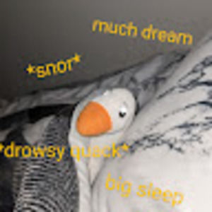 Meet your Posher, Coby